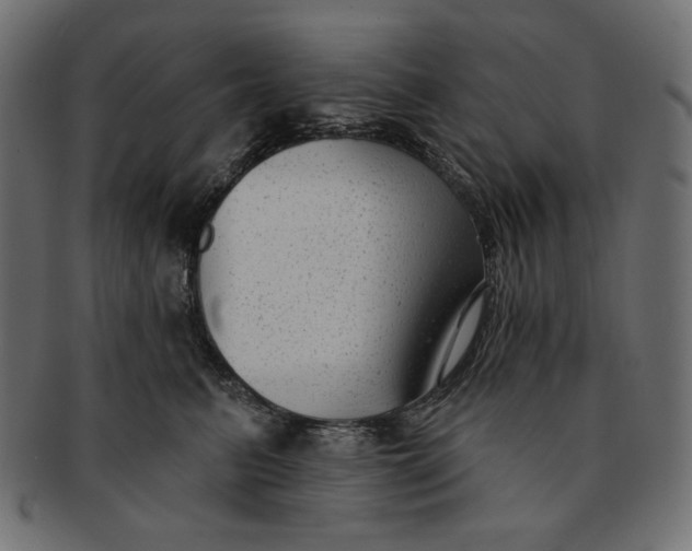 X0000091850615200709261208