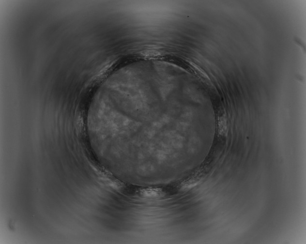 X0000091850618200709261208