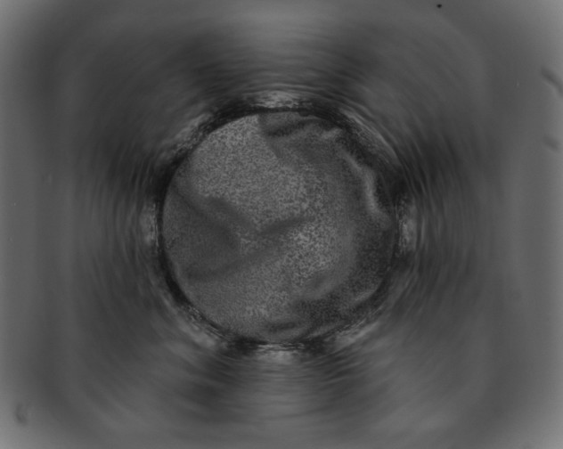 X0000091850620200709261208