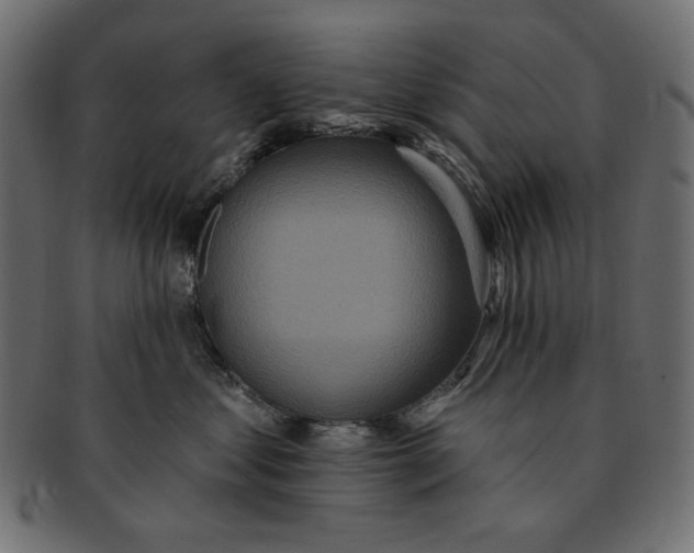 X0000091850621200709261208