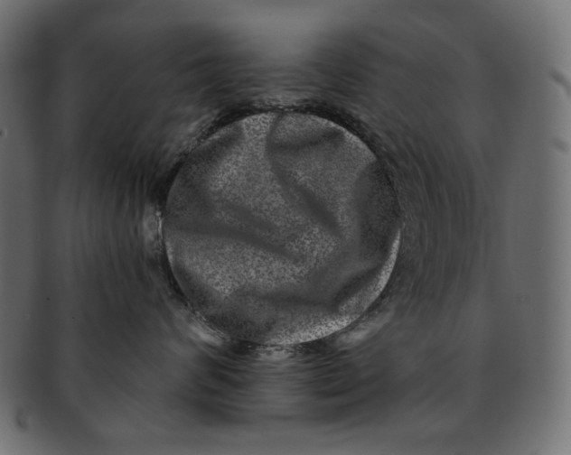 X0000091850624200709261208