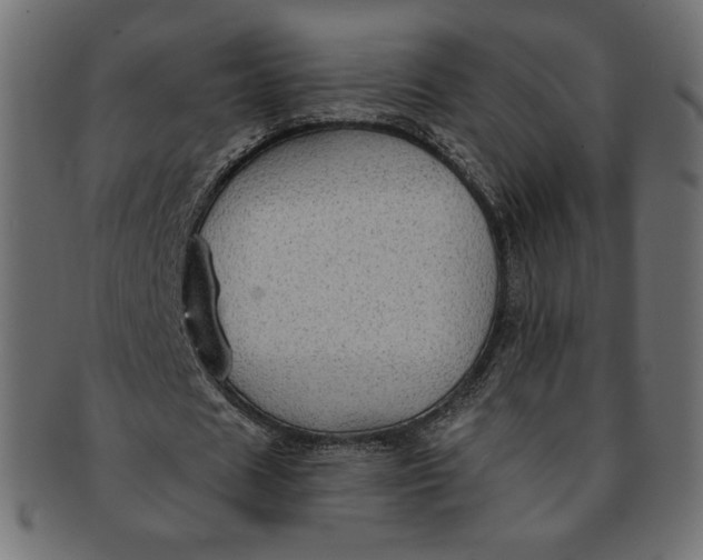 X0000091850625200709261208