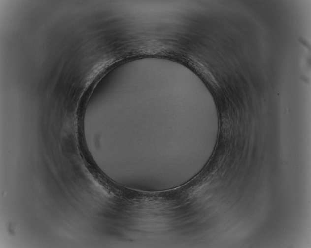 X0000091850626200709261208