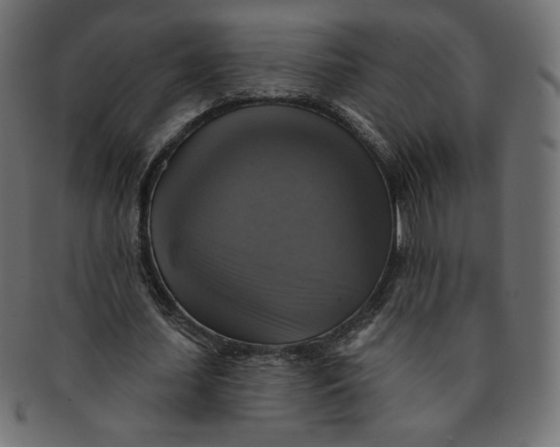 X0000091850627200709261208