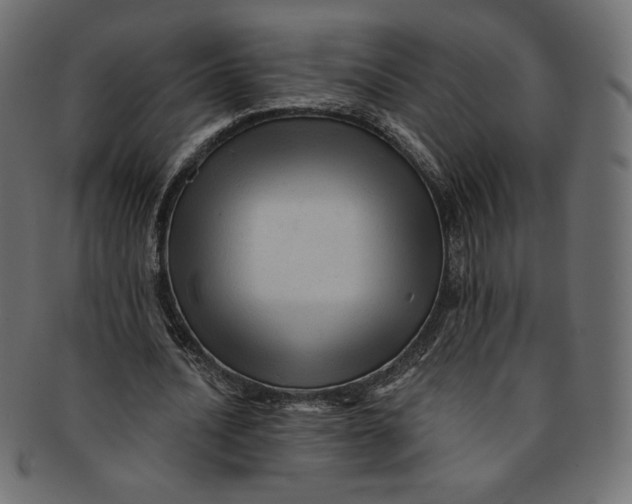 X0000091850628200709261208