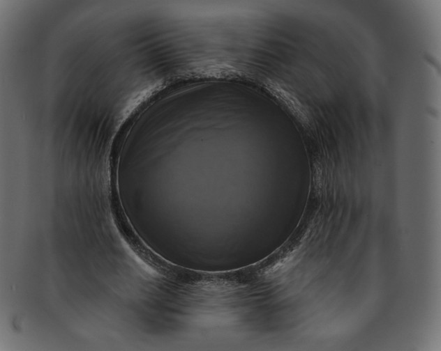 X0000091850630200709261208