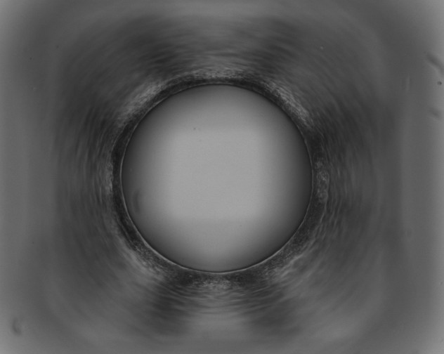 X0000091850631200709261208