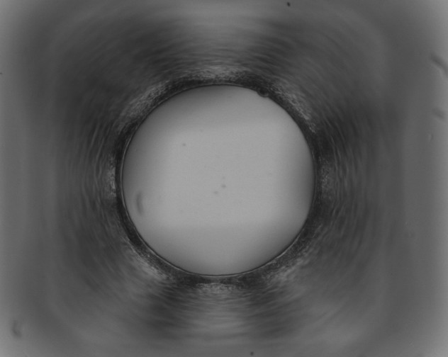 X0000091850633200709261208