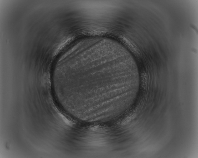 X0000091850634200709261208