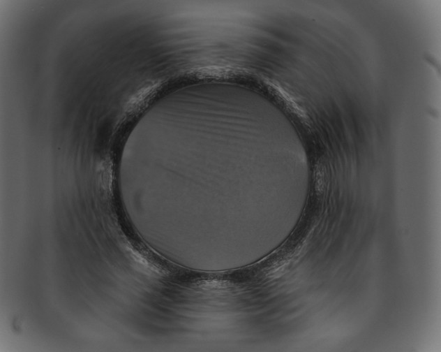 X0000091850637200709261208