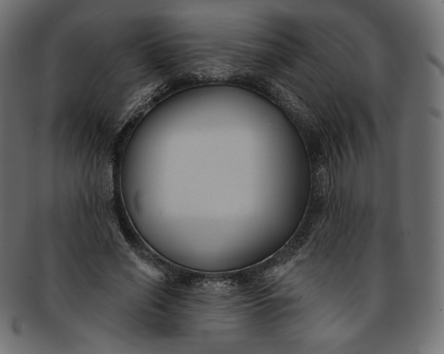 X0000091850638200709261208