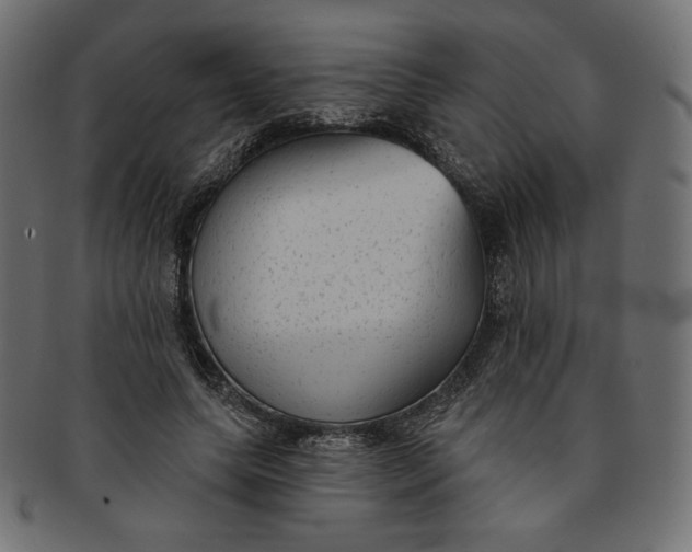 X0000091850639200709261208