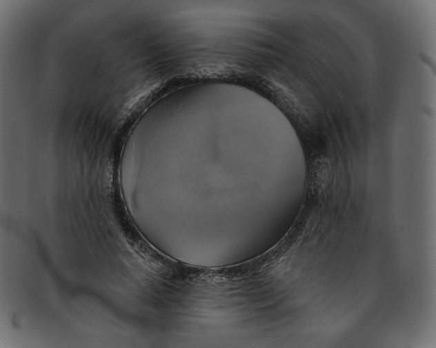 X0000091850640200709261208