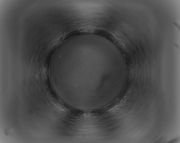 X0000091850641200709261208