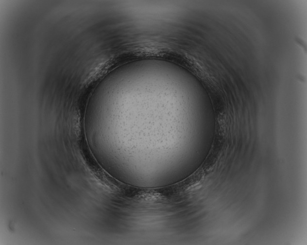 X0000091850642200709261208