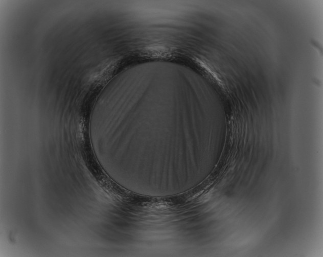 X0000091850643200709261208