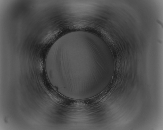 X0000091850644200709261208