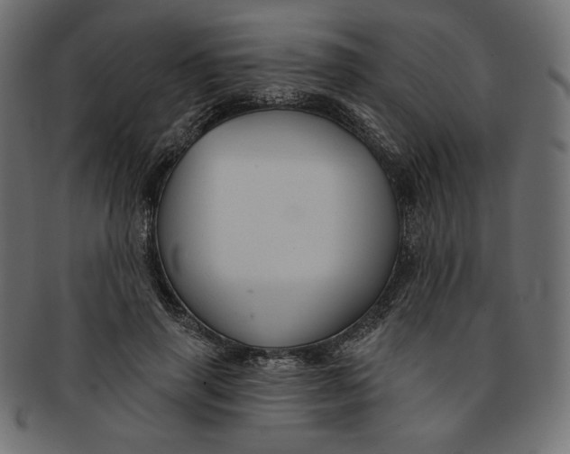 X0000091850645200709261208