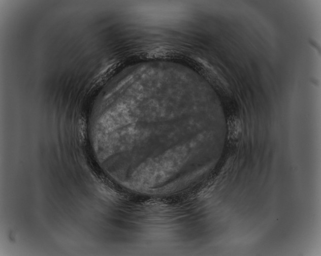 X0000091850648200709261208