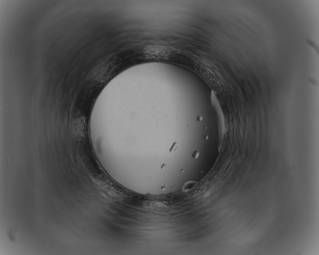 X0000091850649200709261208