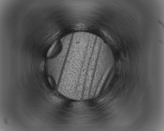 X0000091850652200709261208