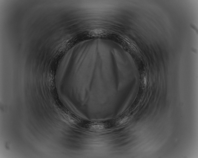 X0000091850653200709261208