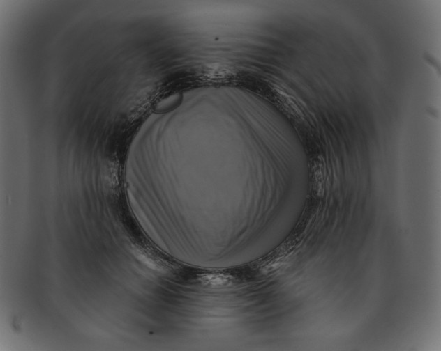 X0000091850654200709261208