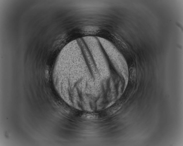 X0000091850655200709261208