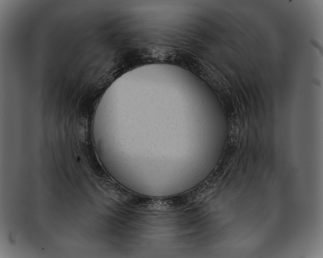 X0000091850656200709261208