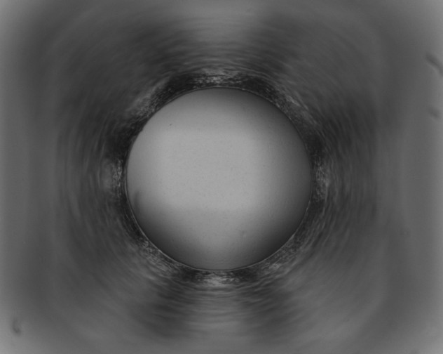 X0000091850657200709261208