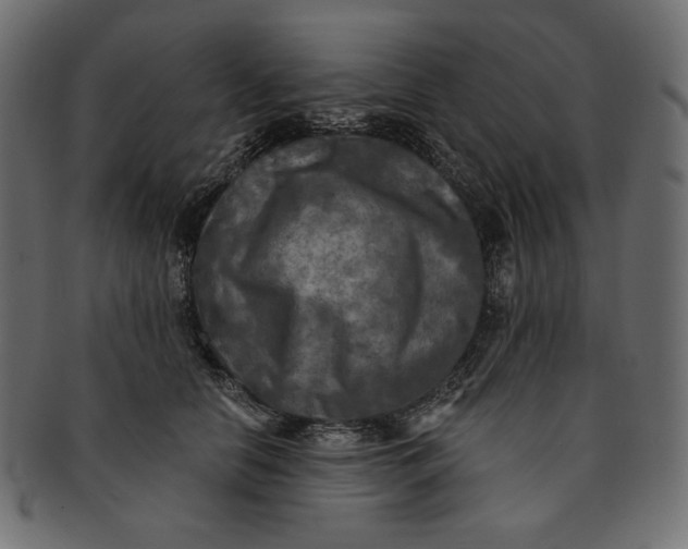 X0000091850658200709261208