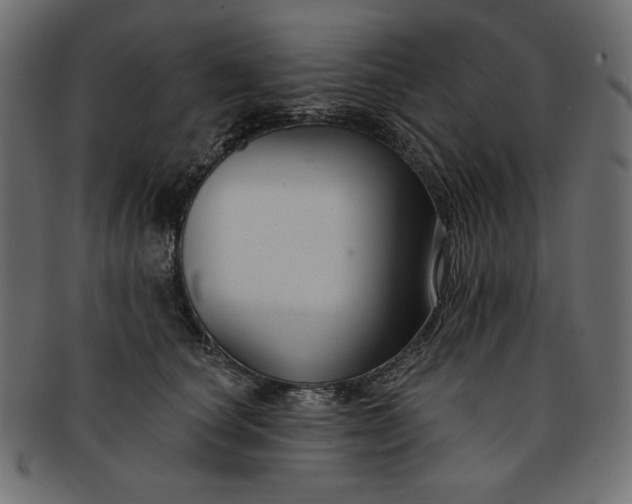 X0000091850660200709261208