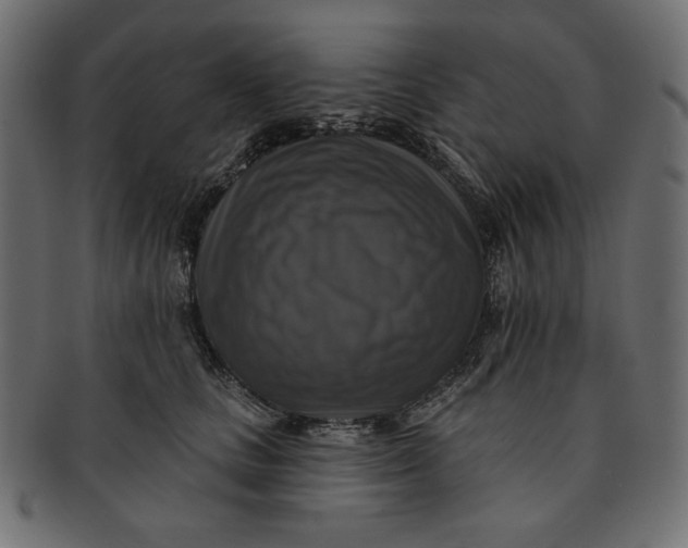 X0000091850661200709261208