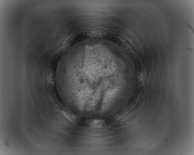 X0000091850663200709261208