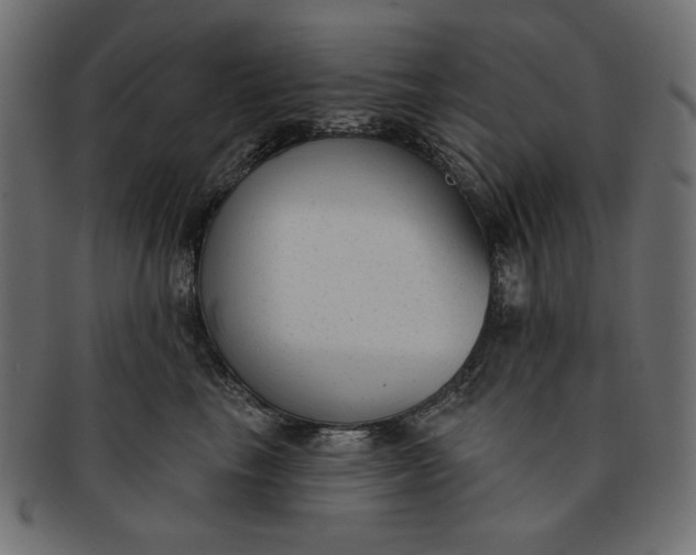 X0000091850665200709261208