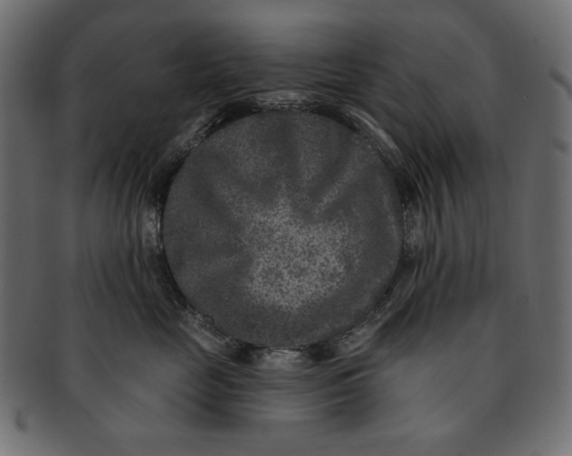 X0000091850669200709261208