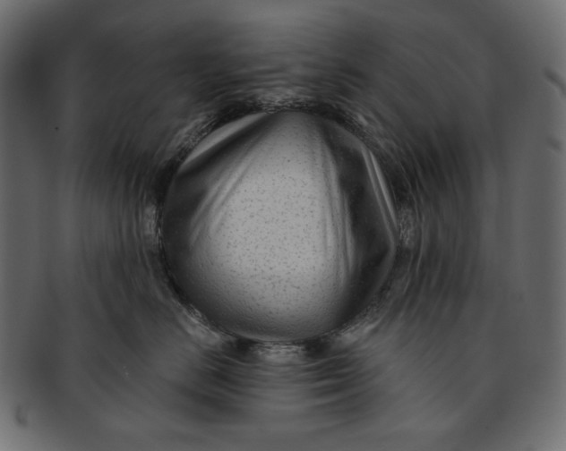 X0000091850670200709261208