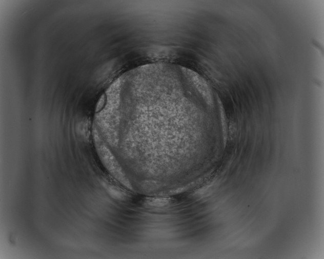 X0000091850671200709261208