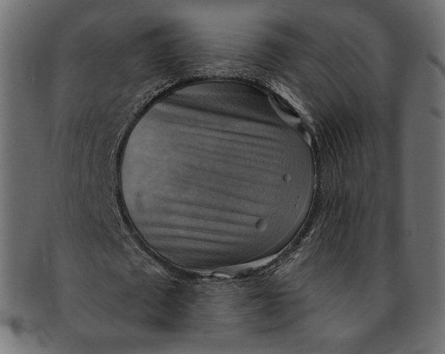 X0000091850673200709261208