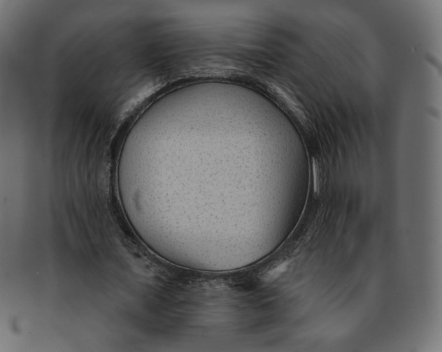 X0000091850675200709261208