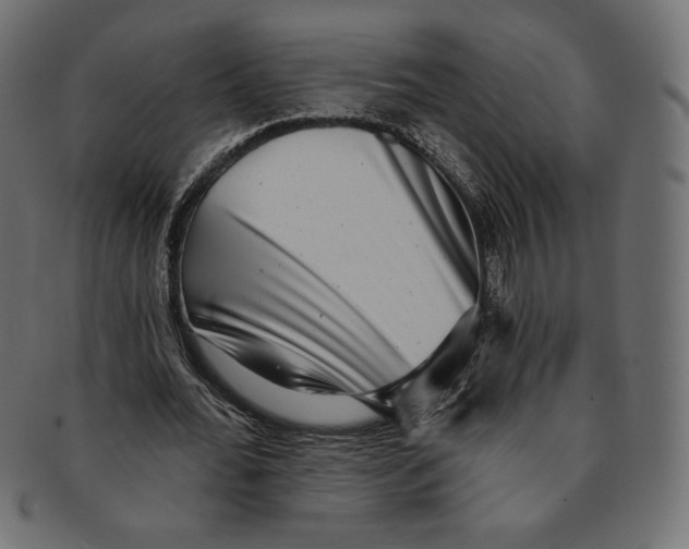 X0000091850676200709261208