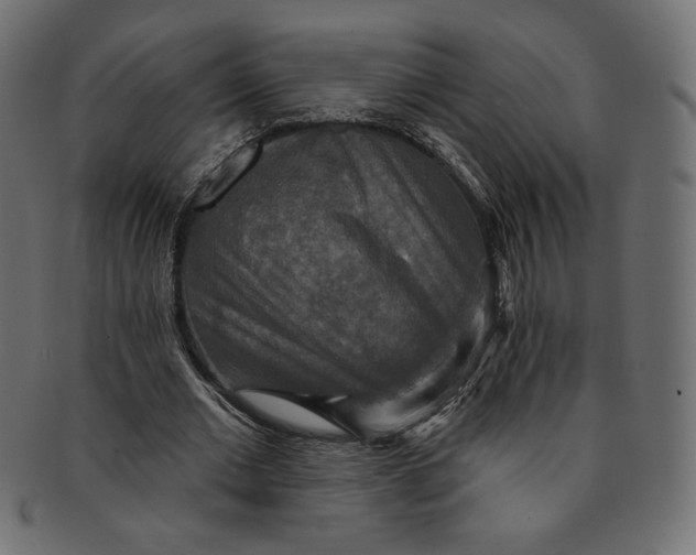 X0000091850677200709261208