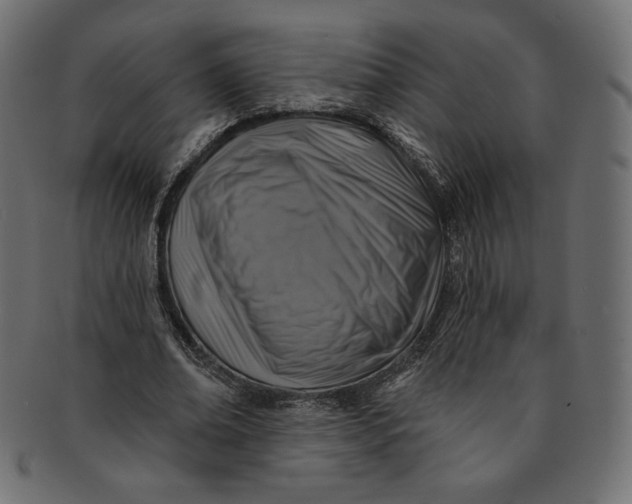 X0000091850678200709261208