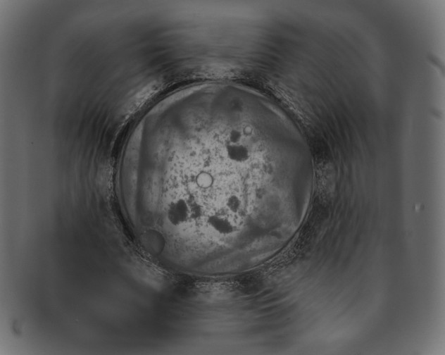 X0000091850679200709261208