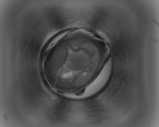 X0000091850680200709261208