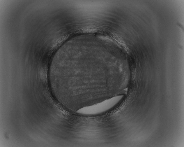 X0000091850681200709261208