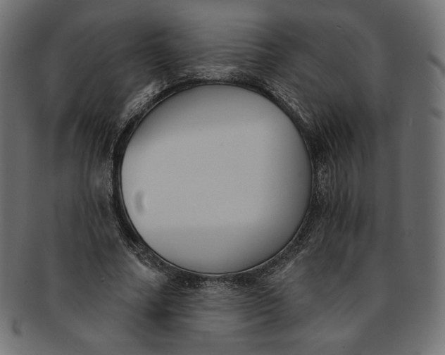 X0000091850682200709261208