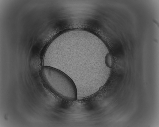 X0000091850683200709261208