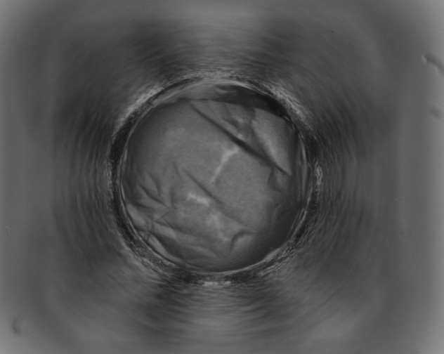 X0000091850684200709261208