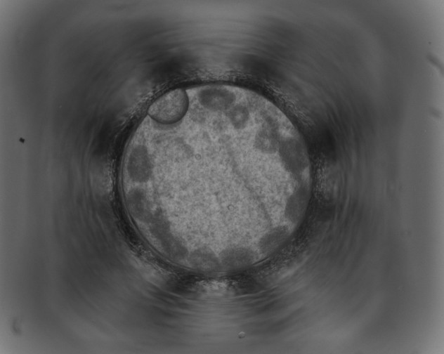 X0000091850687200709261208